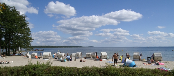 PICT2198.JPG