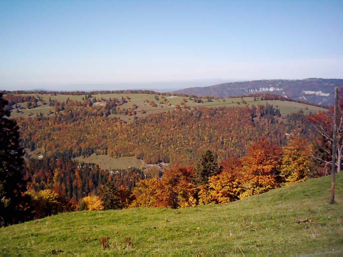 DSCI0029.jpg<br />Zum vergr&ouml;ssern auf das Bild klicken<br />To enlarge klick in the picture