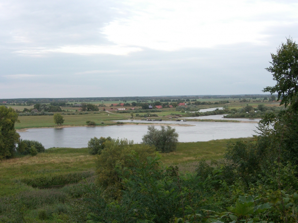 Hitzacker