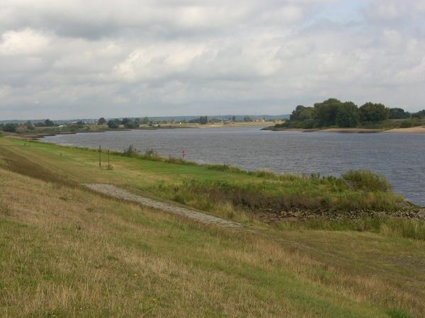 Elbe