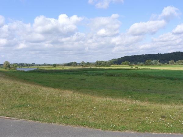 Marschlandschaft