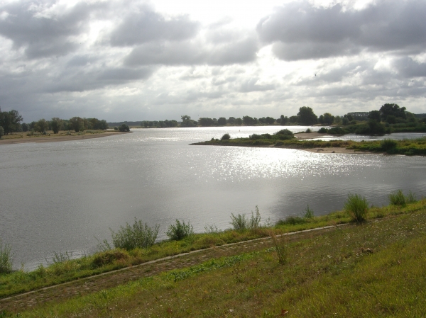 Elbe