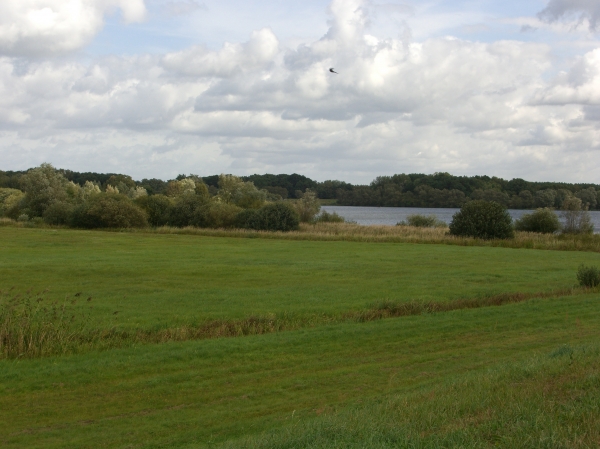 Gartower See