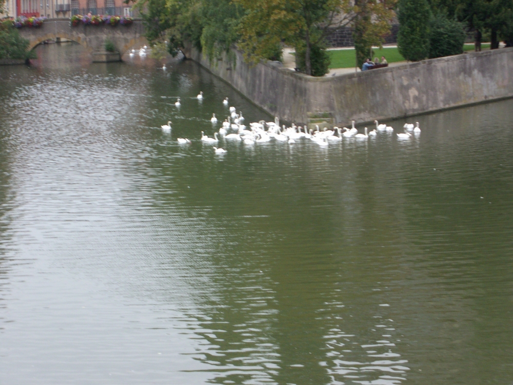 Metz