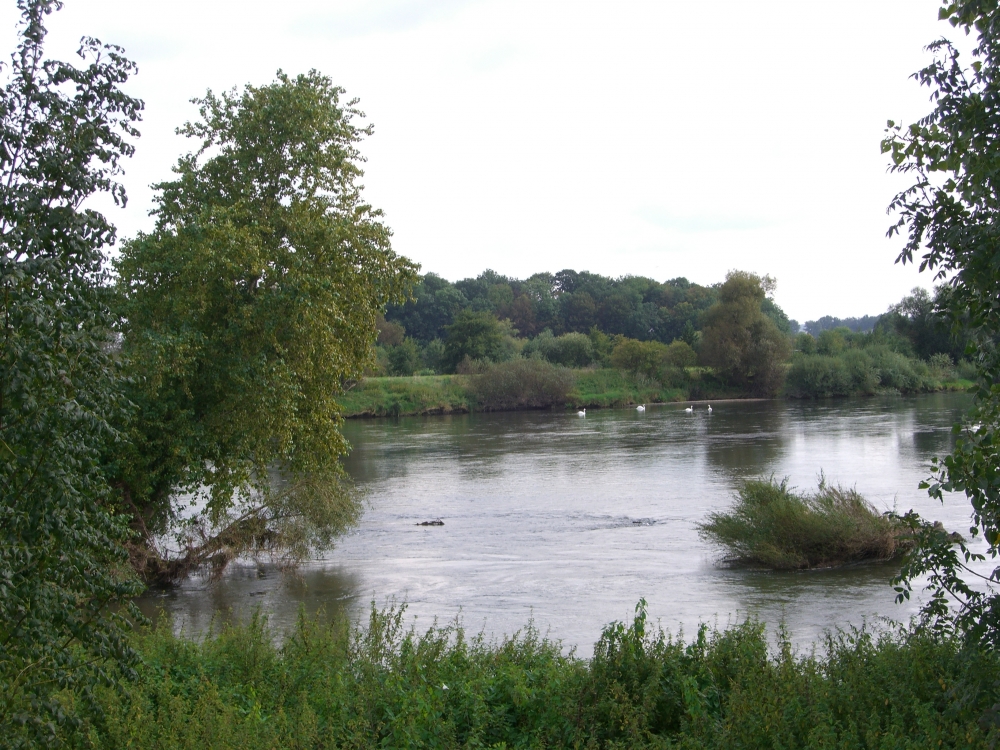 Mosel
