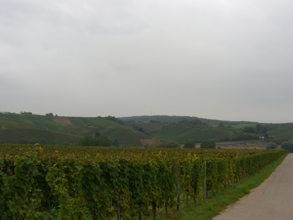 Weinland Luxemburg