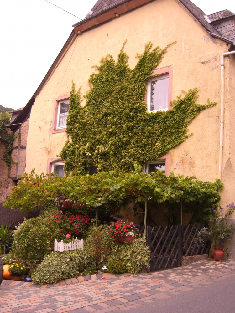 Neumagen/Dhron