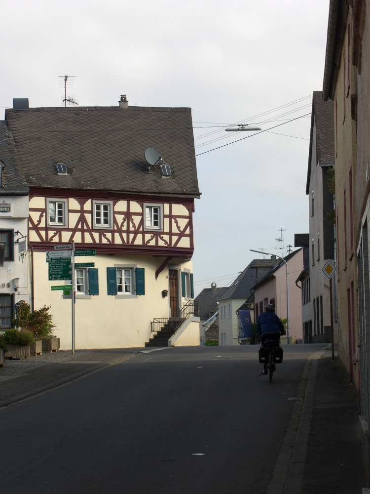 Wintrich