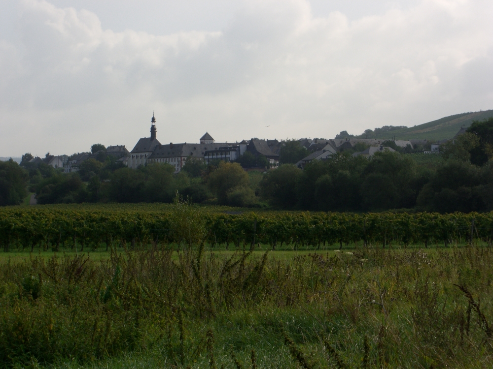 Lieser
