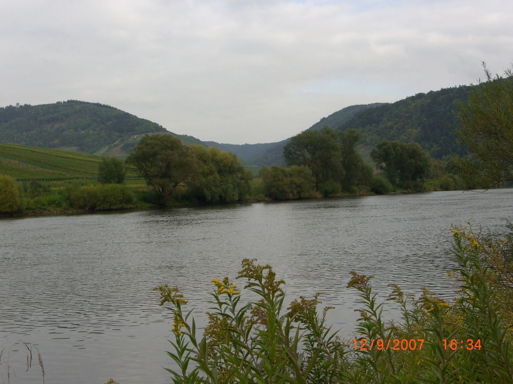Moselschleife