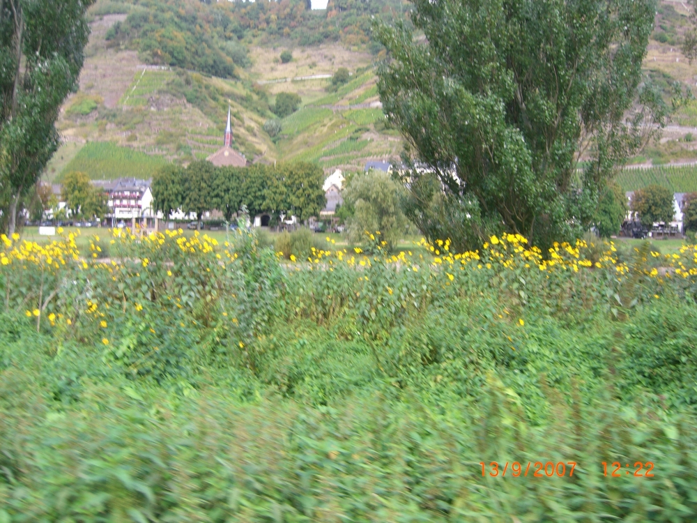 Valwig