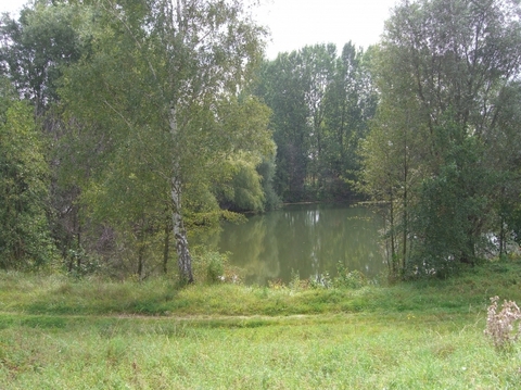 Seeidylle