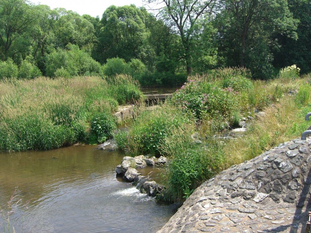 Schwarzenbach