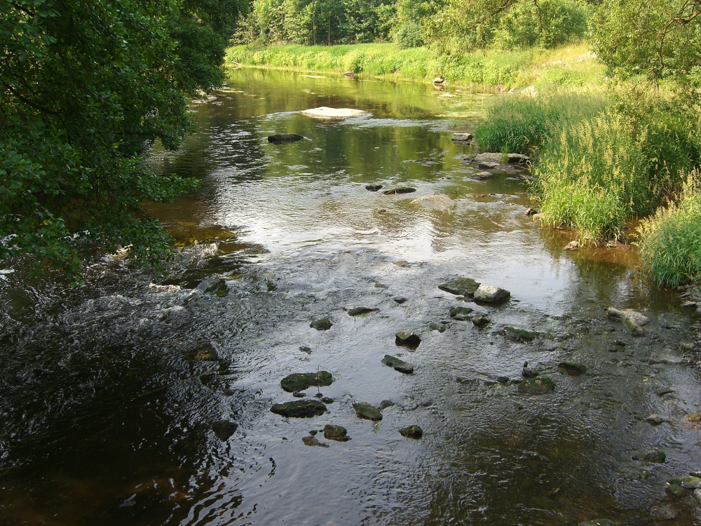 Unterkotzau