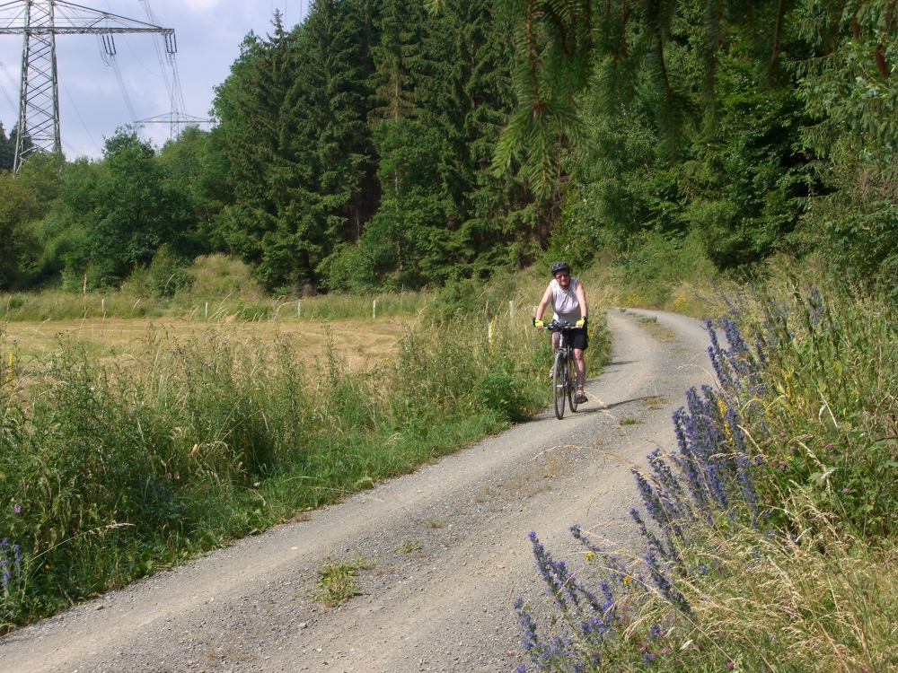 Natternkopf