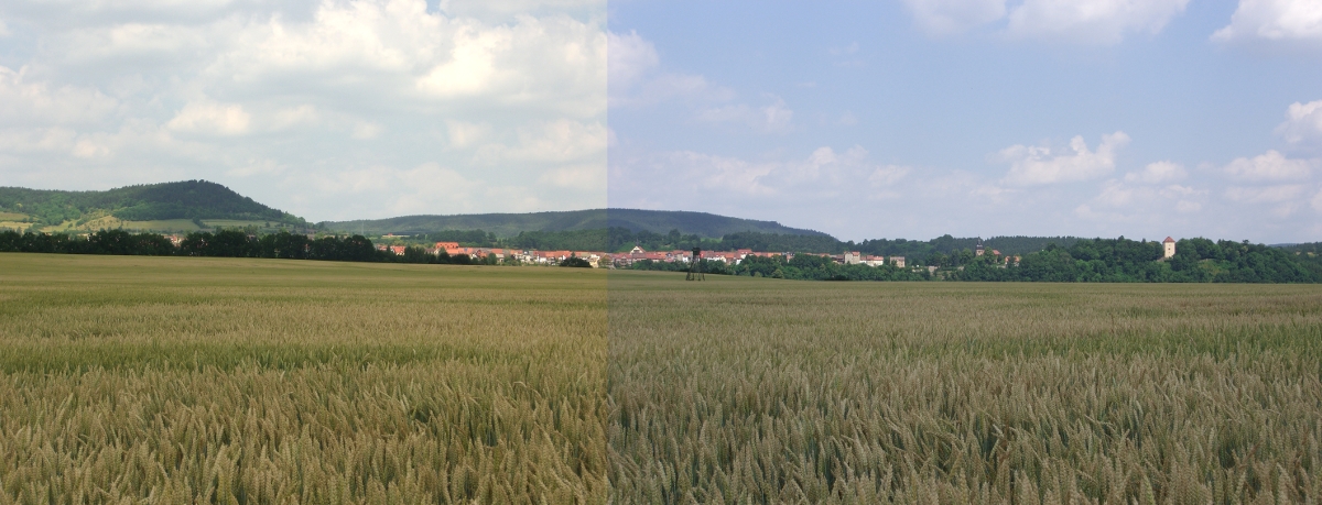 Orlamünde