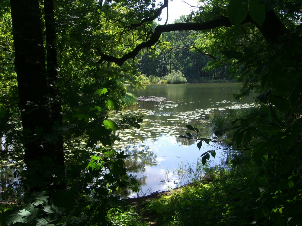 Dessau