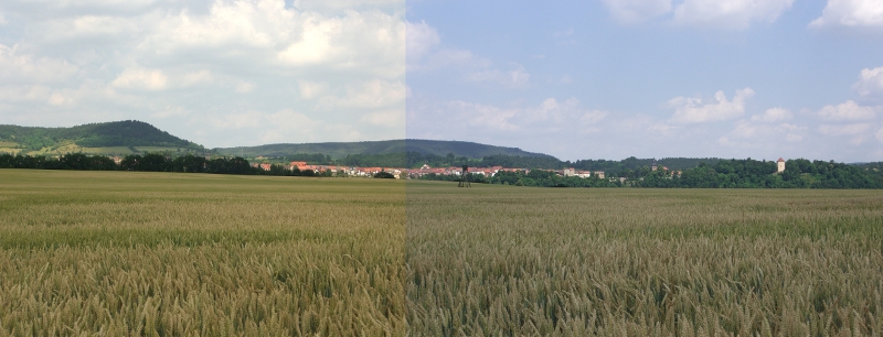 Orlamünde