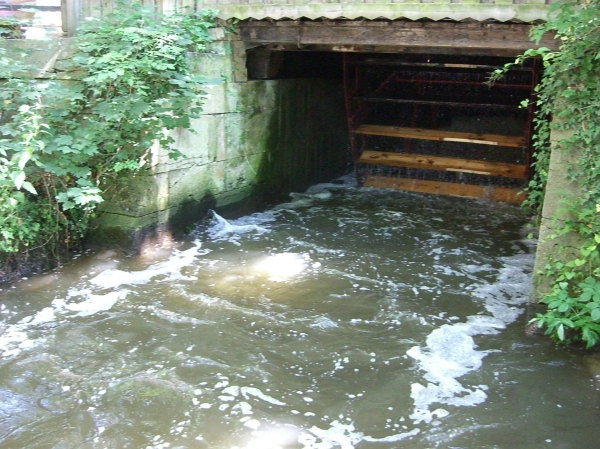 Bad Kösen