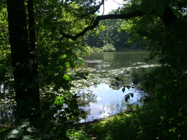 Dessau