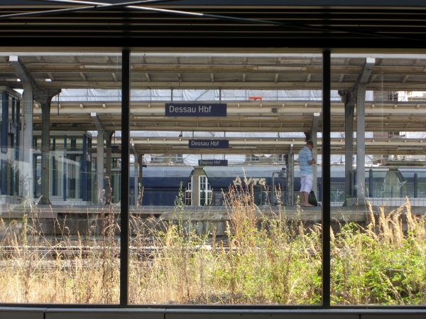 Dessau
