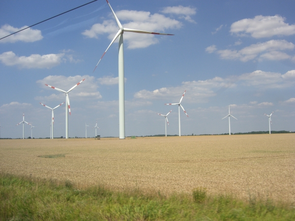Windpark 
