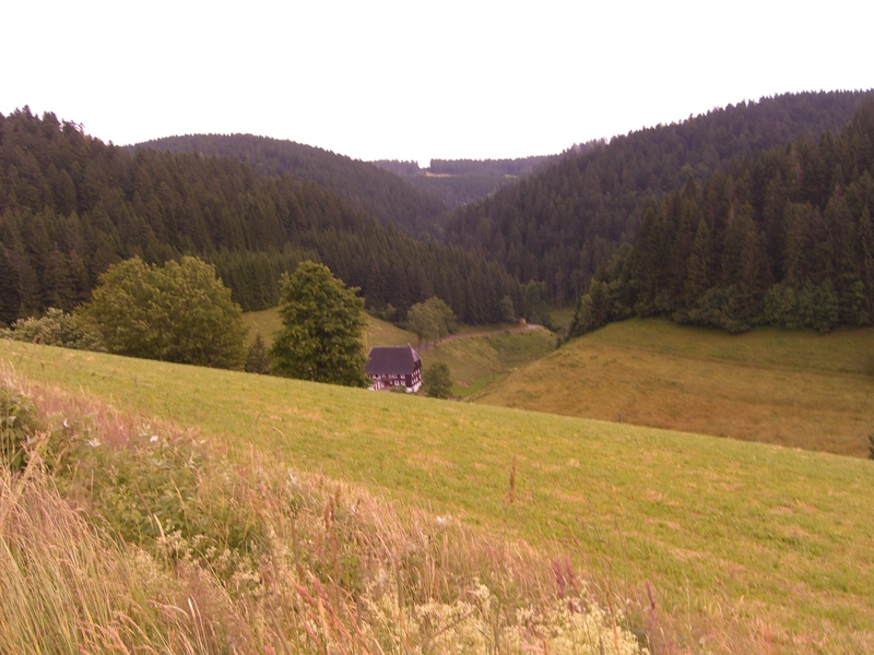 Bergstrasse