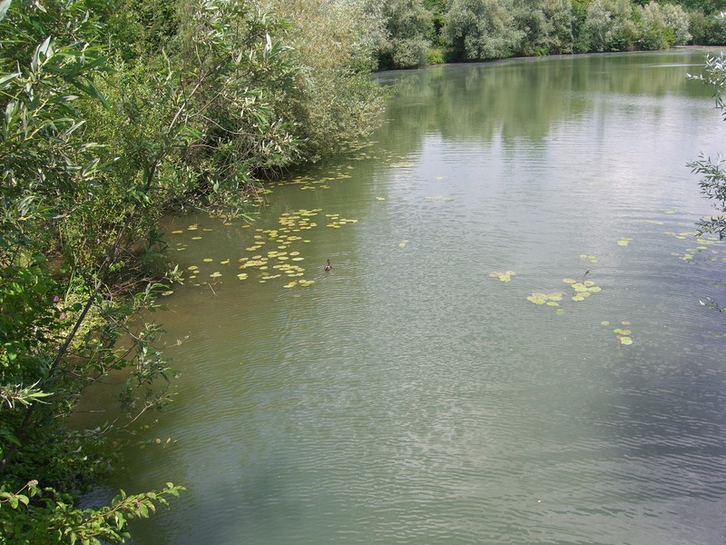 Wernauer Baggerseen