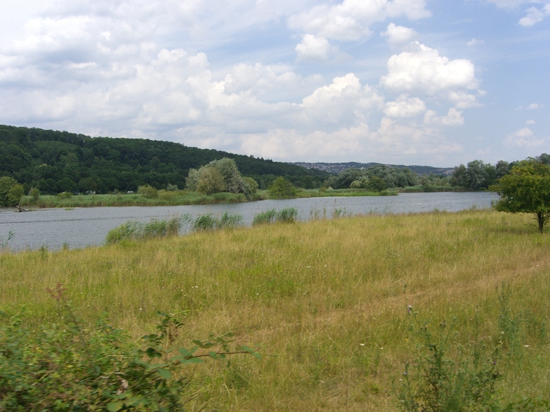 Wernauer Baggerseen