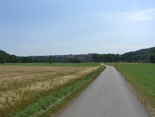 Kornfelder