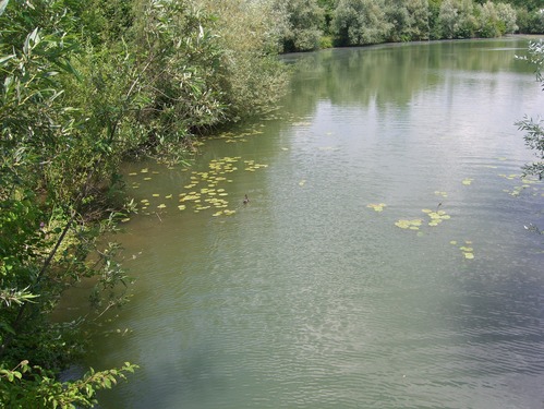 Wernauer Baggerseen
